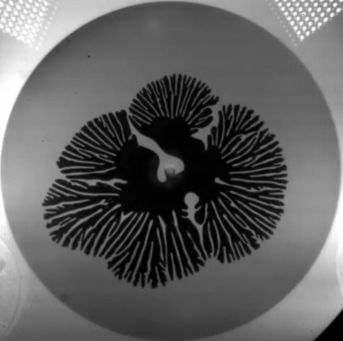 Bilim İnsanları, Katı Gibi Davranan Bir Sıvı Keşfetti (Video)