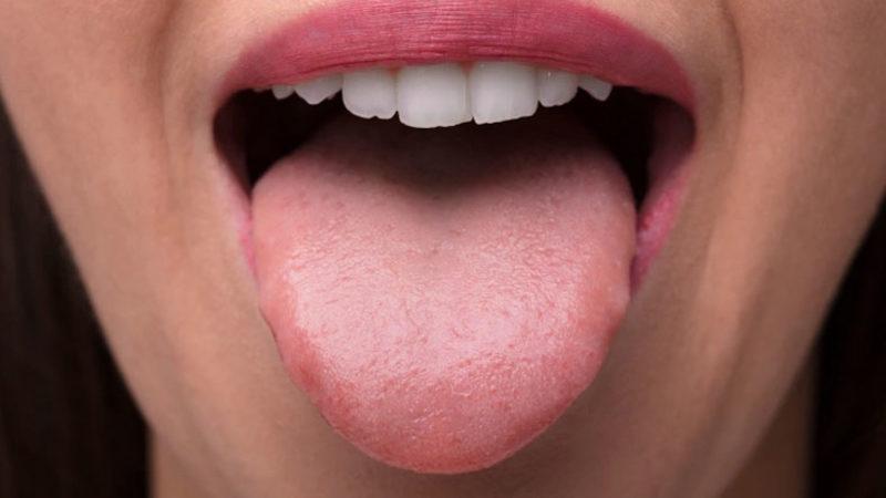 Araştırmacılar, Tüm Tatları Algılayabilen Yeni Bir Tat Hücresi Türü Keşfetti