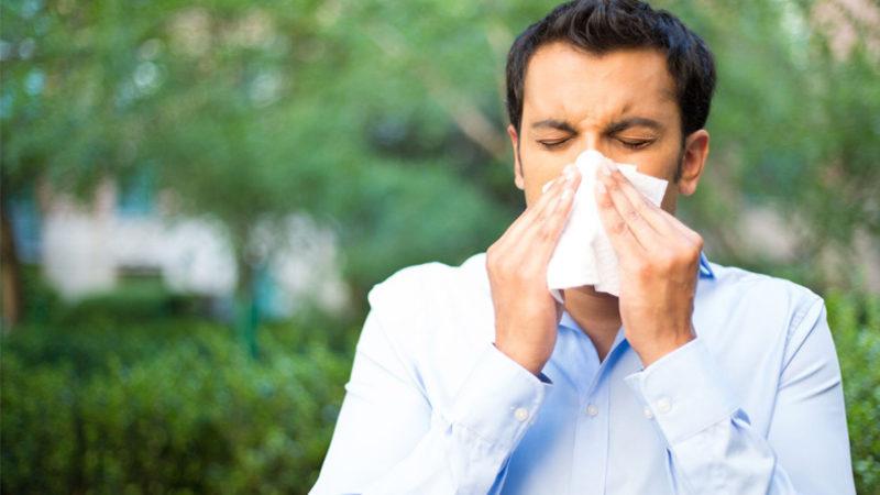 Bilim İnsanları, Koronavirüs Karantinası ve Alerjiler Arasındaki Bağlantıyı Araştıracak