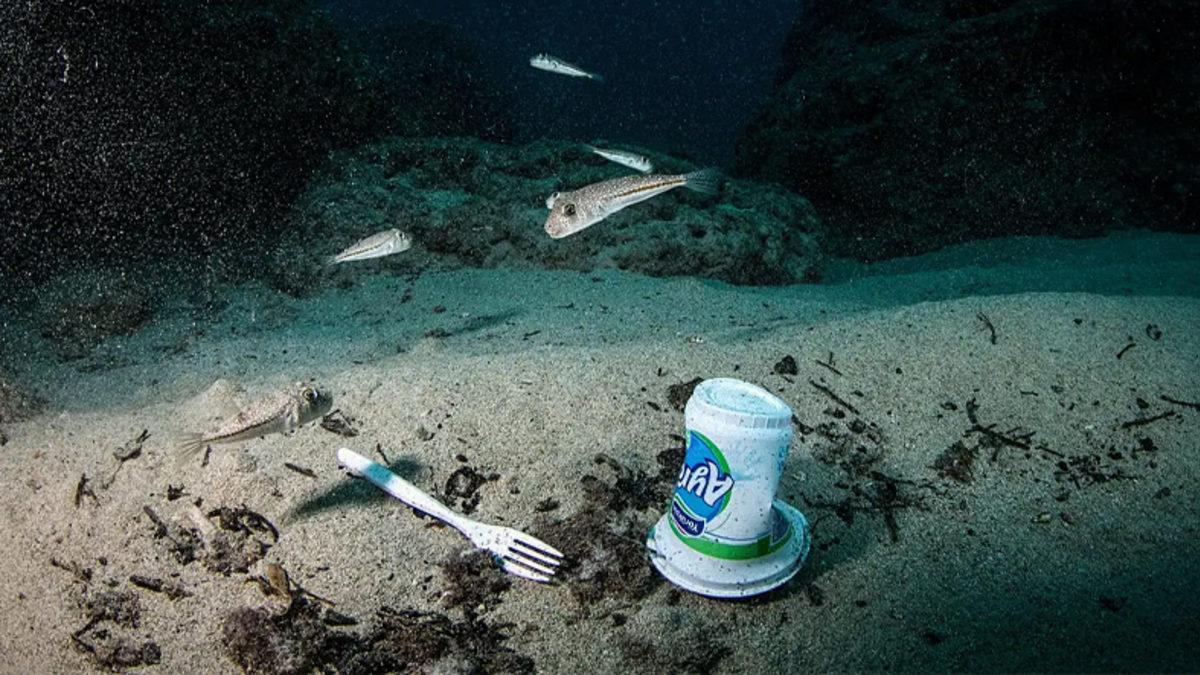 Araştırmacılar, İnceledikleri Tüm İnsan Dokularında Plastik Buldu