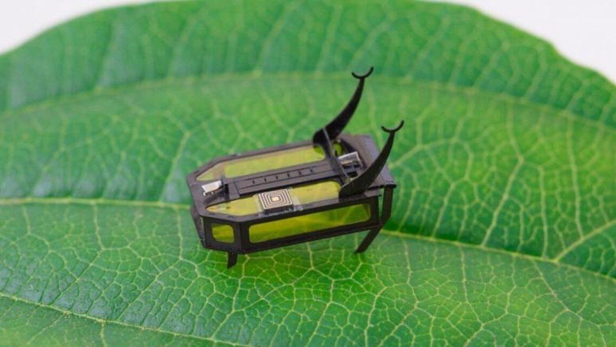 Ameliyatlarda Kullanılması Hedeflenen, Alkolle Çalışan Mikro Robot: RoBeetle