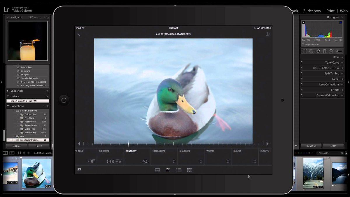 Adobe Lightroom’un Son iOS Güncellemesi, Bazı Kullanıcıların Tüm Fotoğraflarını Sildi