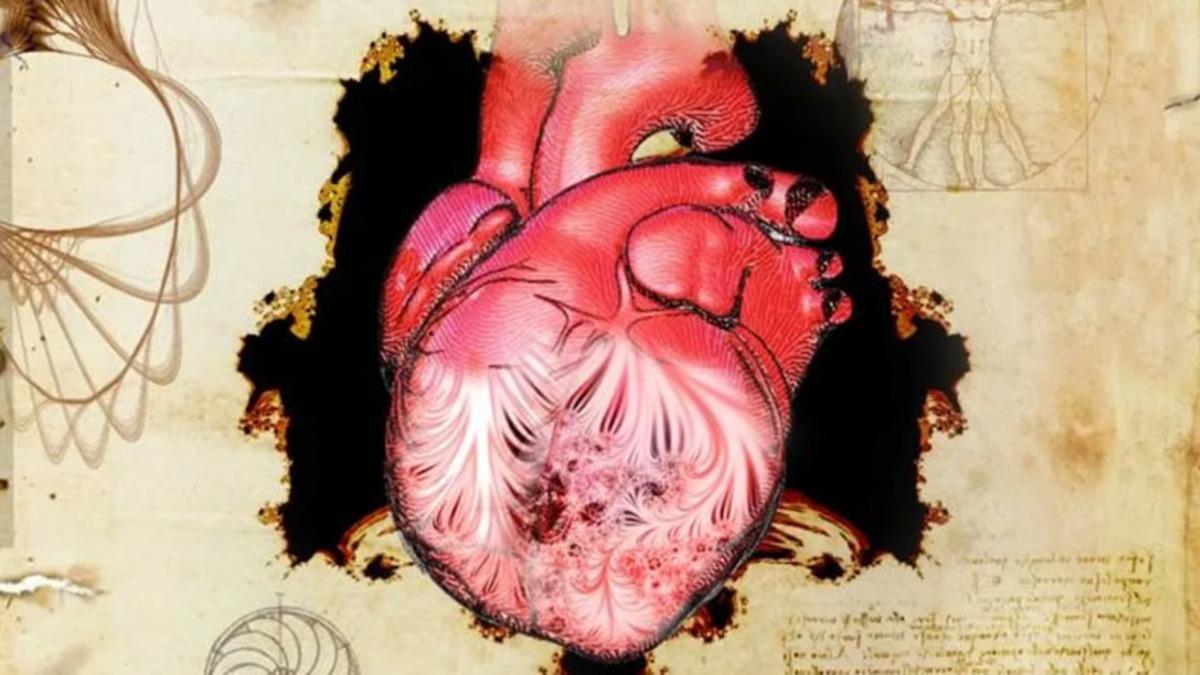 Leonardo da Vinci’nin 500 Yıl Önce Çizdiği Bir Kalp Parçasının İşlevi Ancak Bugün Keşfedildi