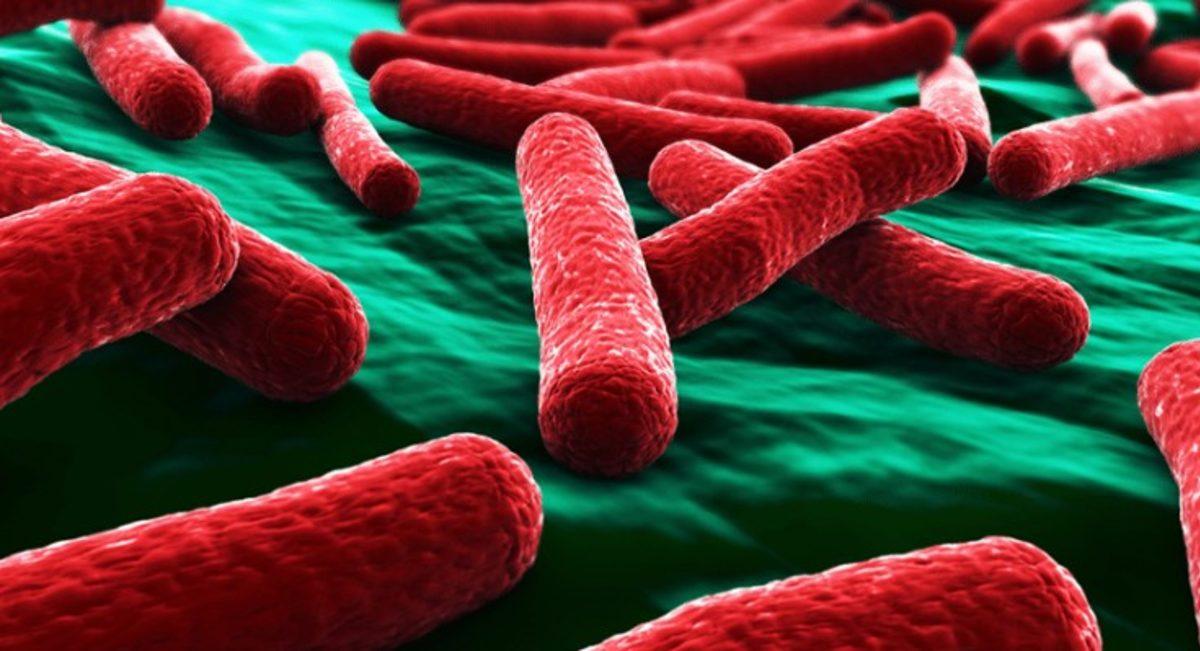 Bakterilerin Ölürken Komşularını Uyarmak İçin Kimyasal Bir ’Çığlık’ Attığı Keşfedildi