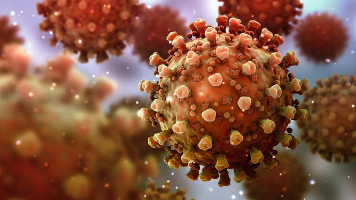 Hong Kong’da Bir Kişinin Koronavirüse Yeniden Enfekte Olduğu Açıklandı