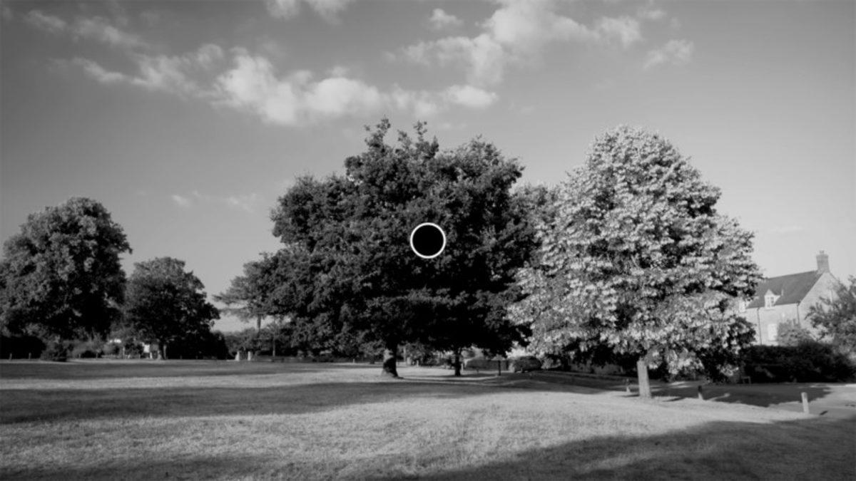 Bir YouTuber, Siyah-Beyaz Fotoğrafları Renkli Gösteren Optik İllüzyonun Nedenini Açıkladı (Video)