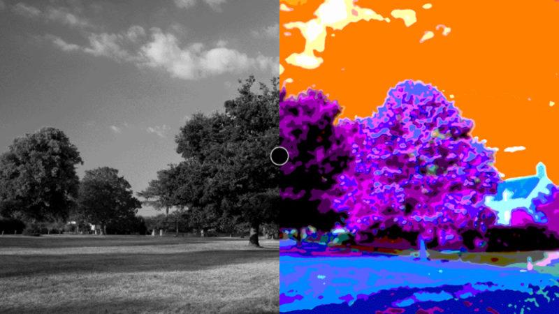 Bir YouTuber, Siyah-Beyaz Fotoğrafları Renkli Gösteren Optik İllüzyonun Nedenini Açıkladı (Video)