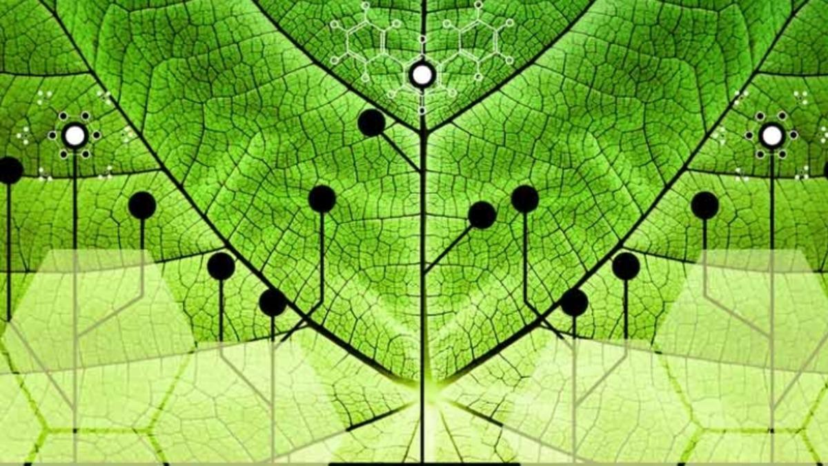 Yapay Fotosentez Çalışmalarıyla Güneş Enerjisini Yakıta Dönüştürmek Mümkün