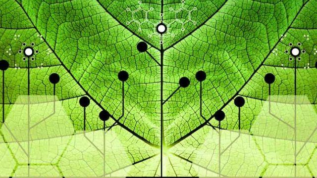 Yapay Fotosentez Çalışmalarıyla Güneş Enerjisini Yakıta Dönüştürmek Mümkün