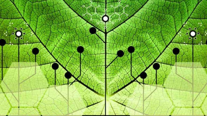 Yapay Fotosentez Çalışmalarıyla Güneş Enerjisini Yakıta Dönüştürmek Mümkün