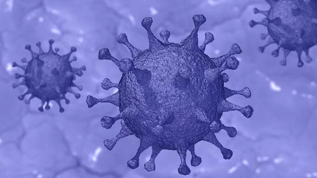 Mutasyona Uğramış, Hafif Ama Çok Daha Bulaşıcı Covid-19 Virüsü Tespit Edildi