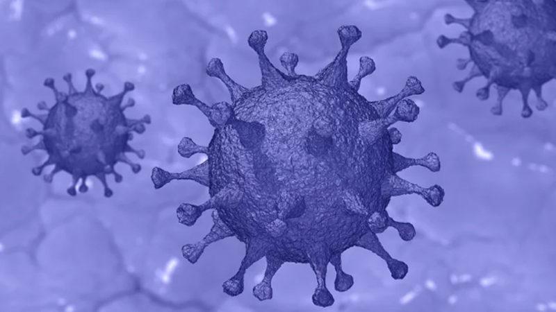 Mutasyona Uğramış, Hafif Ama Çok Daha Bulaşıcı Covid-19 Virüsü Tespit Edildi