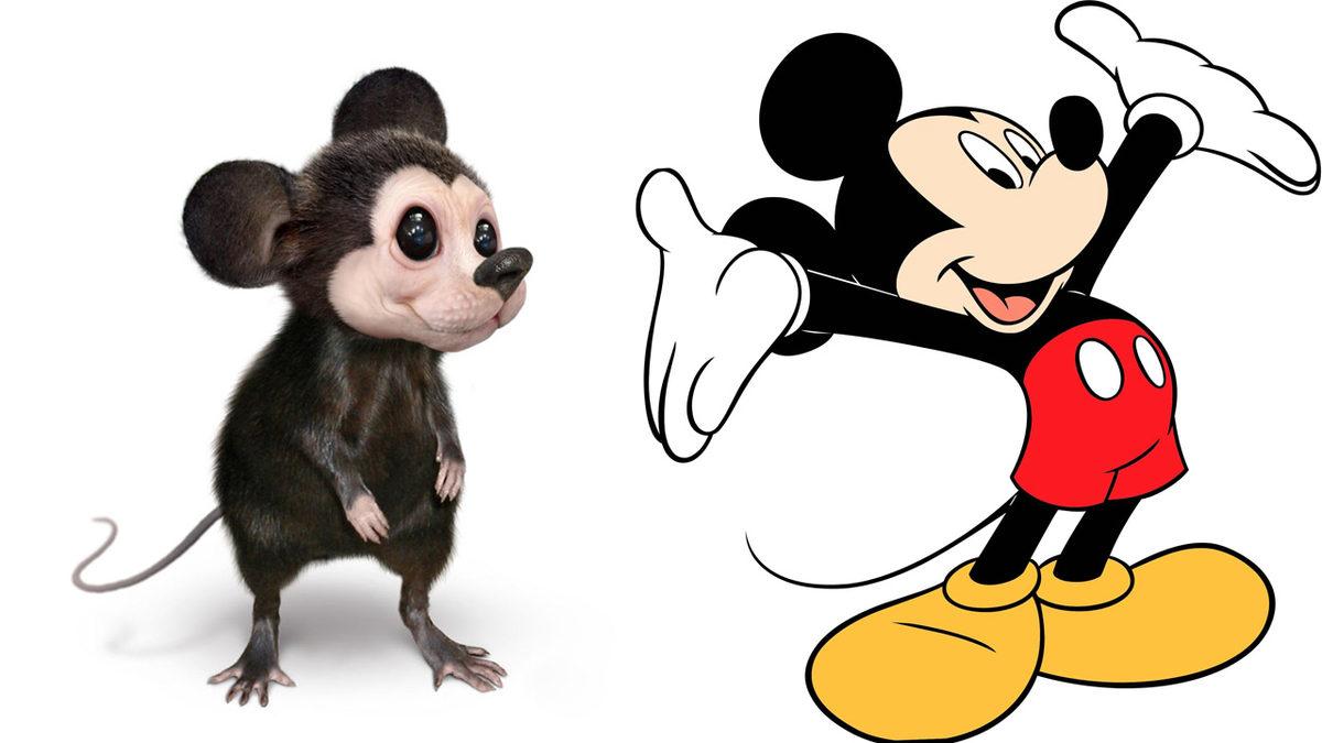 Çizgi Film Karakterleri Gerçek Olsaydı Nasıl Görünürdü?