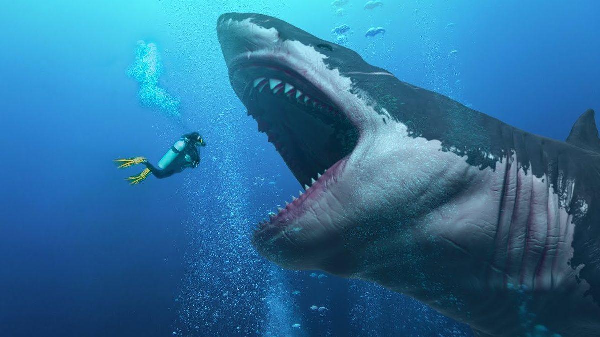 Megalodon Köpekbalıklarının Boyunun 16 Metreyi Bulabildiği Ortaya Çıktı