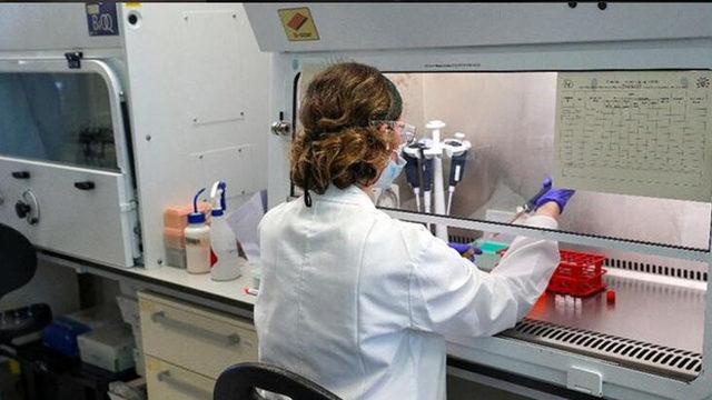 Oxford Üniversitesi’nin Durdurulan Covid-19 Klinik Denemeleri Yeniden Başlıyor