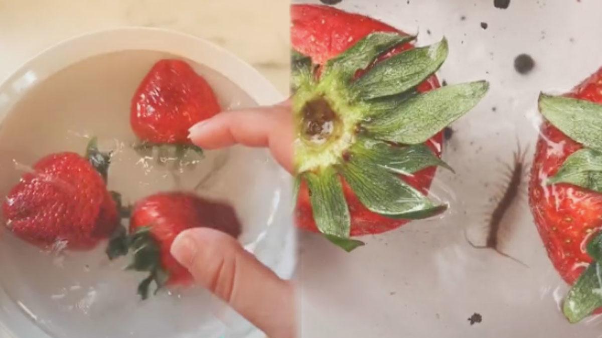 Bu Sene TikTok’ta Viral Olan Birbirinden Saçma 6 Akım