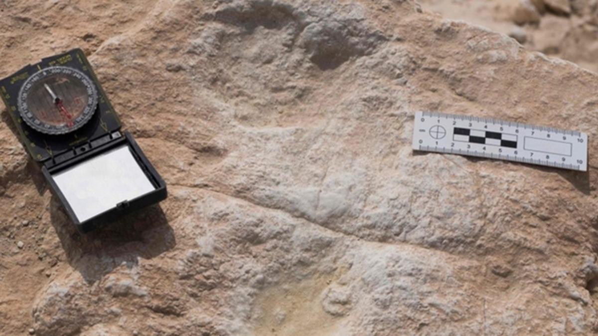 Arap Yarımadası’nda 120 Bin Yıllık İnsan Ayak İzleri Keşfedildi