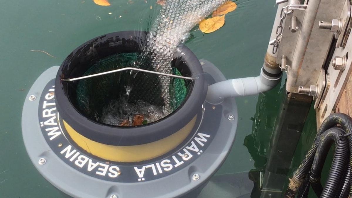 Yeteri Kadar Destek Bulunursa Dünyayı Kurtaracak 12 İnovasyon