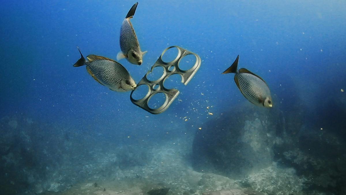 Yeteri Kadar Destek Bulunursa Dünyayı Kurtaracak 12 İnovasyon