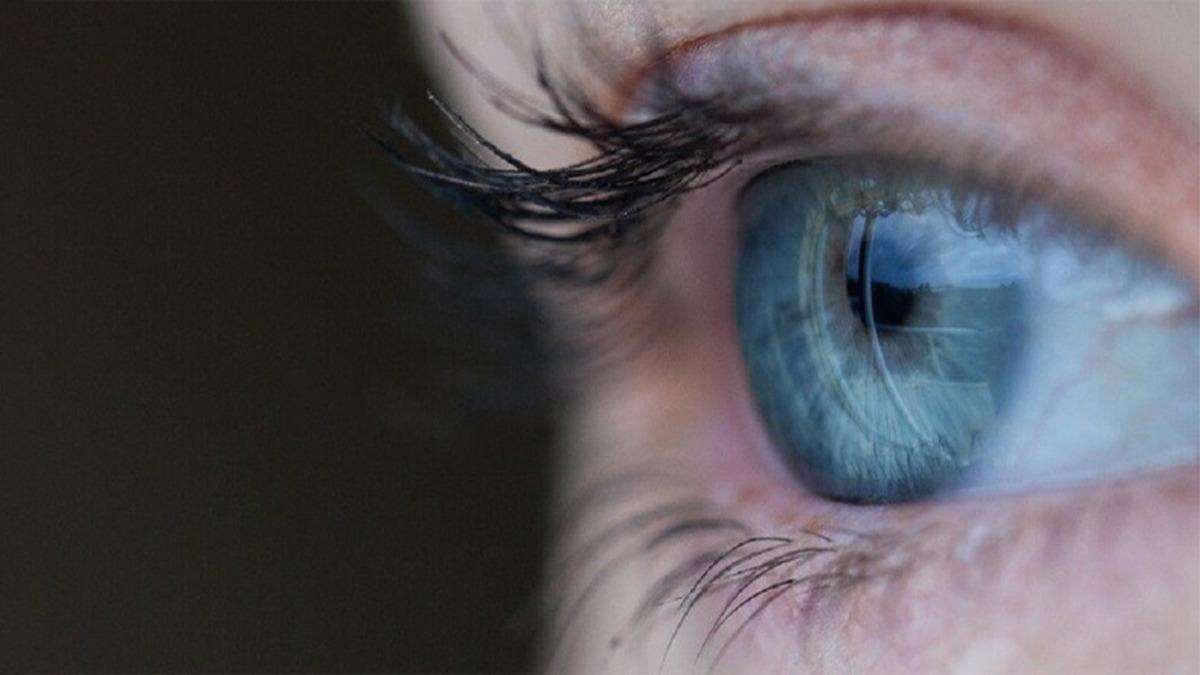 Bilim İnsanları, Görme Engellilere Görme Yetisi Sağlayan Biyonik Göz Geliştirdi