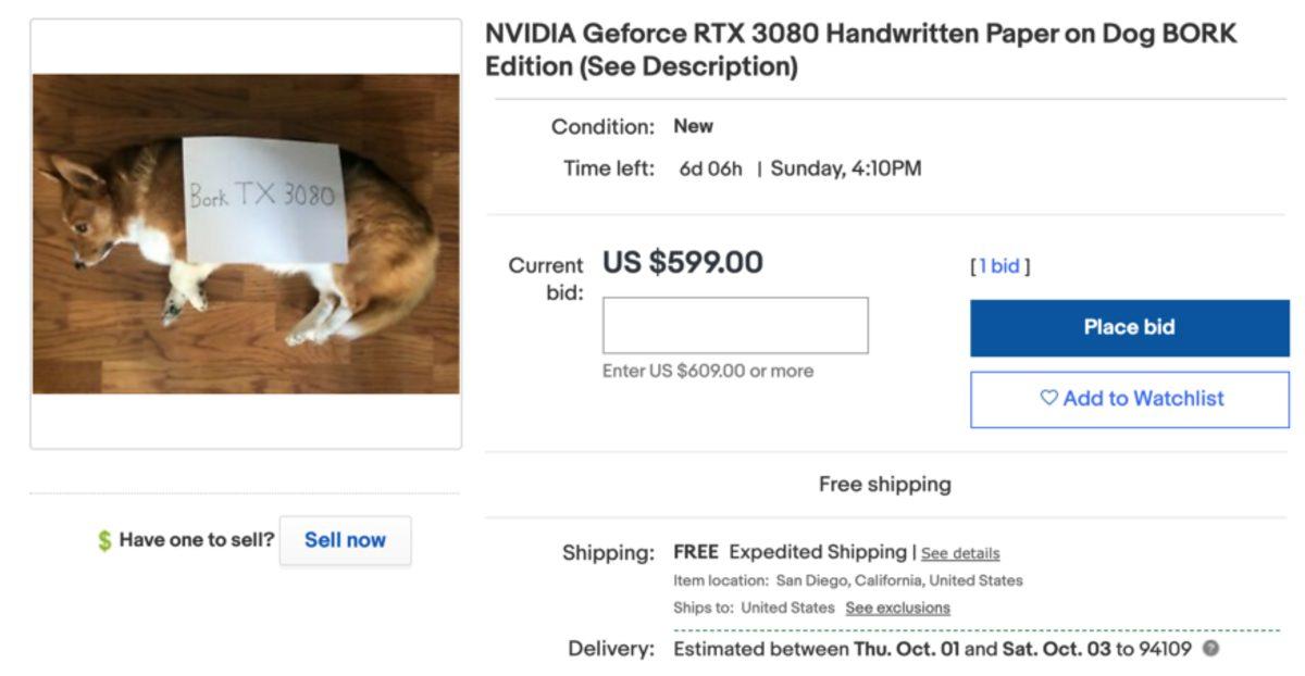 Kara Borsacıları Protesto Etmek İsteyen Oyuncular, eBay’de Troll RTX 3080 İlanları Açtı