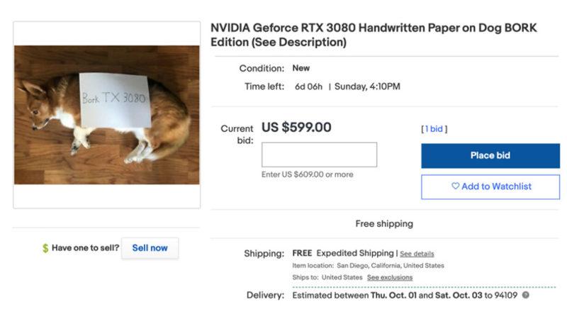 Kara Borsacıları Protesto Etmek İsteyen Oyuncular, eBay’de Troll RTX 3080 İlanları Açtı