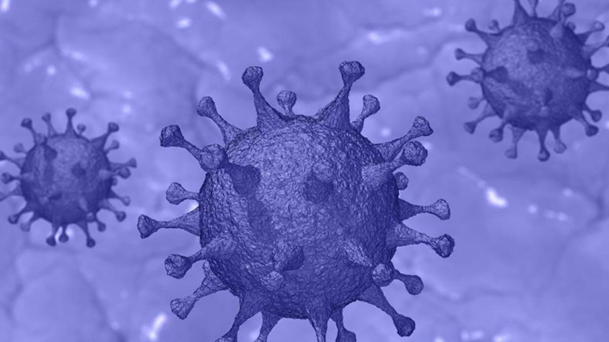 Türkiye’de Bir İlçede Koronavirüse Karşı Kitlesel Bağışıklık Sağlandı