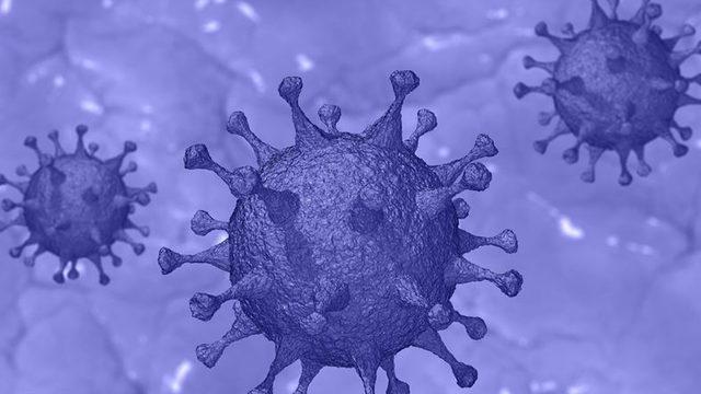 Türkiye’de Bir İlçede Koronavirüse Karşı Kitlesel Bağışıklık Sağlandı