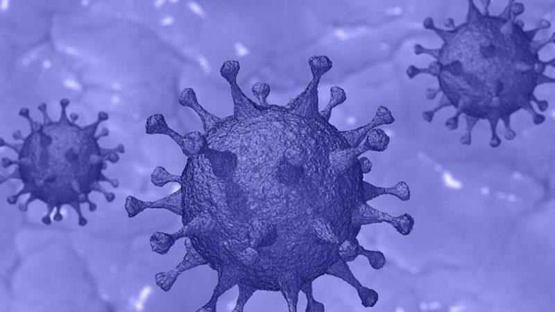 Türkiye’de Bir İlçede Koronavirüse Karşı Kitlesel Bağışıklık Sağlandı