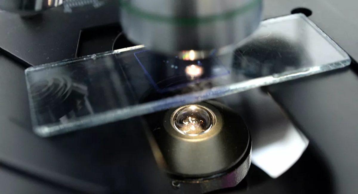 Rus Araştırmacılar, Her Hastalığa Etkili Doğal Antibiyotik Keşfetti