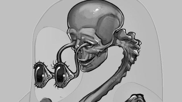 Fall Guys’taki Fasulyelerin ‘Tövbe Estağfurullah’ Dedirten Ürkütücü Anatomisi Paylaşıldı