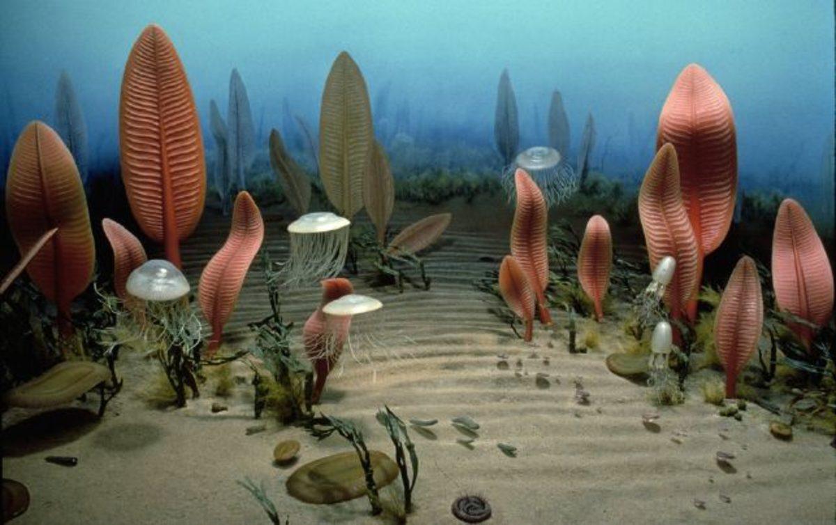 Oksijenden Önce Yaşamın Dünya’da Neyi Soluduğunu Öğrenmiş Olabiliriz