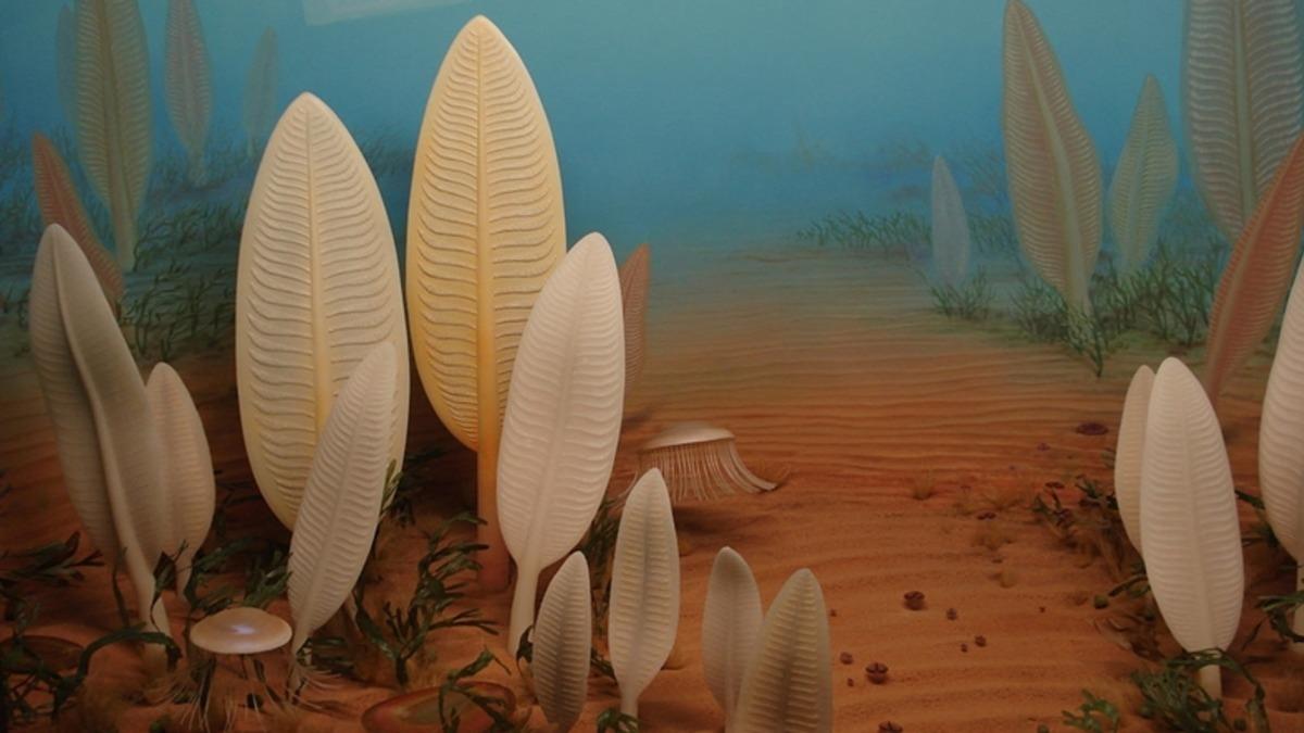 Oksijenden Önce Yaşamın Dünya’da Neyi Soluduğunu Öğrenmiş Olabiliriz