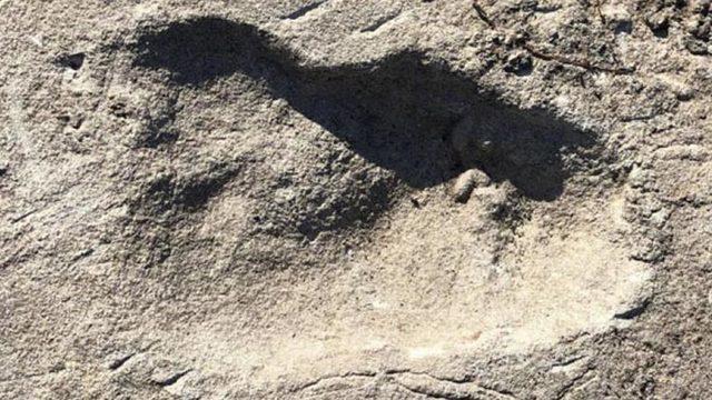 Tüm Bildiklerimizi Unutabiliriz: 3,7 Milyon Yıllık Bir Ayak İzinin İnsanların ’Atalarına’ Ait Olduğu Ortaya Çıktı