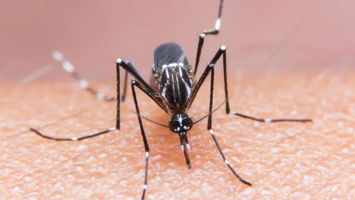 Hindistan, Çin’de Yeni Bir Virüs Bulunduğunu Açıkladı