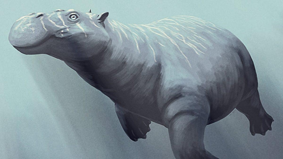 Uçsuz Bucaksız Devasa Bir Mavilikten Fazlası: Büyük Okyanus Hakkında Duyunca Şaşıracağınız 8 İlginç Bilgi