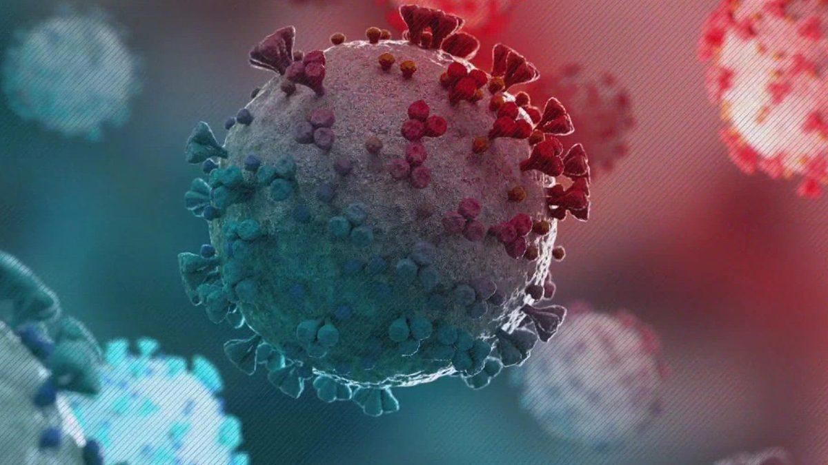 Omicron Varyantı Hakkında İlk Bilimsel Veriler Geldi: ’’Bağışıklıktan Kaçabilme Yeteneği Var’’