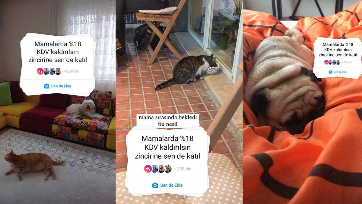 Mama Fiyatları Eşi Benzeri Görülmemiş Şekilde Arttı: %18’lik KDV Kaldırılsın Kampanyasına Sosyal Medyada Destek Yağdı