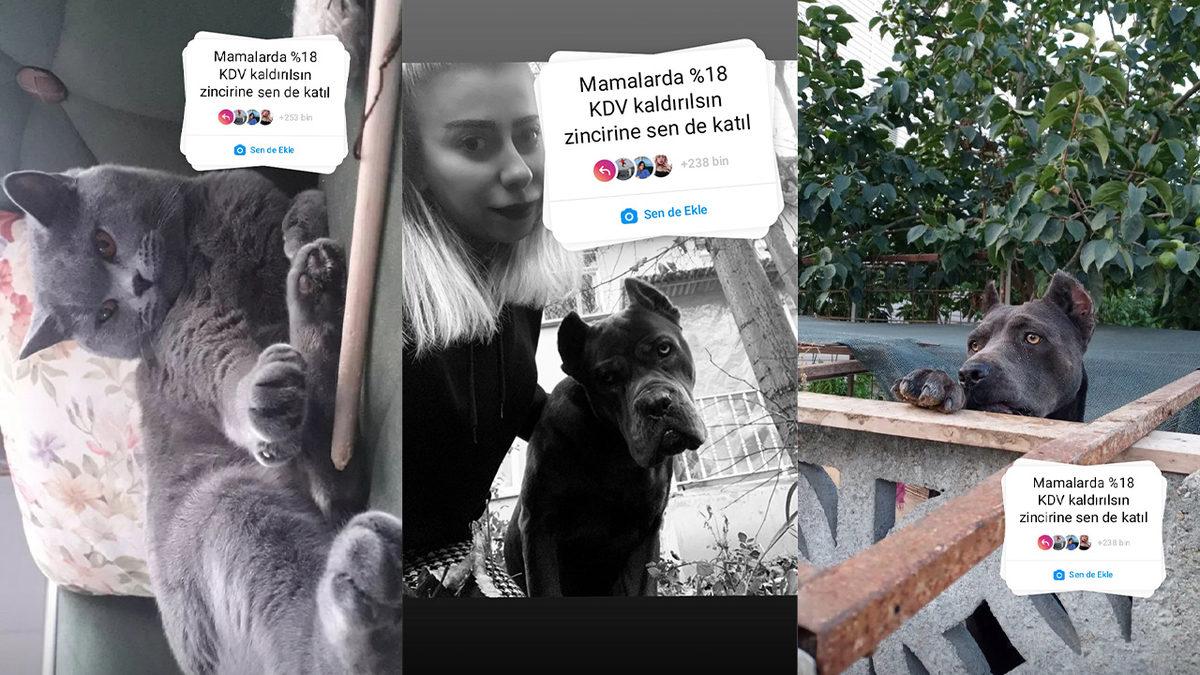 Mama Fiyatları Eşi Benzeri Görülmemiş Şekilde Arttı: %18’lik KDV Kaldırılsın Kampanyasına Sosyal Medyada Destek Yağdı