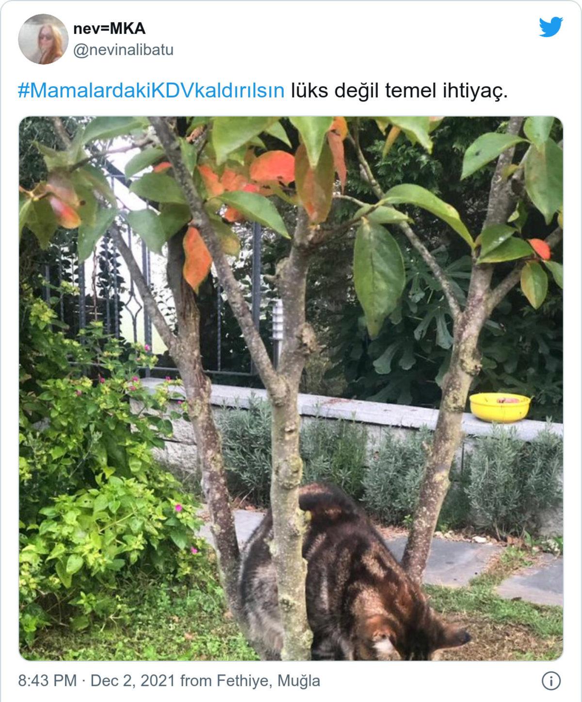 Mama Fiyatları Eşi Benzeri Görülmemiş Şekilde Arttı: %18’lik KDV Kaldırılsın Kampanyasına Sosyal Medyada Destek Yağdı