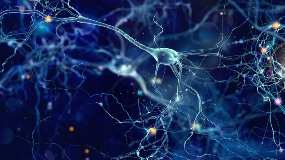 İnsan Beyninin Neden ’Dinlenirken Bile’ Çok Fazla Enerji Tükettiği Ortaya Çıkarıldı