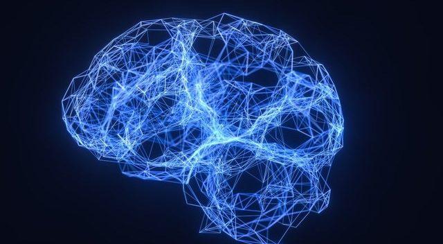 İnsan Beyninin Neden ’Dinlenirken Bile’ Çok Fazla Enerji Tükettiği Ortaya Çıkarıldı