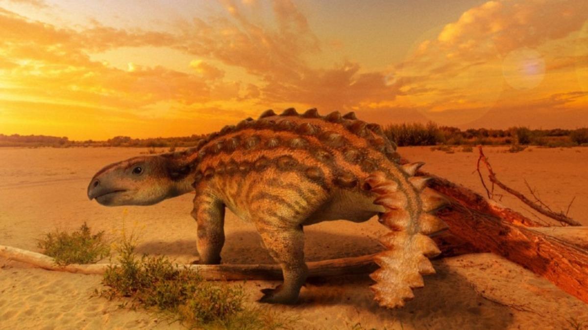 Patagonya’da Eşi Benzeri Olmayan Bir Kuyruk Tipine Sahip Zırhlı Bir Dinozor Türünün Kalıntıları Bulundu