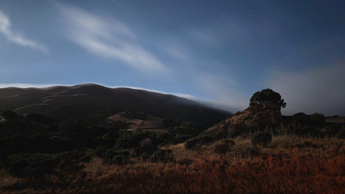 Google Pixel 5 ve Pixel 4a 5G Fotoğraf Örnekleri 6 Google Pixel 5 ve Pixel 4a 5G’nin Etkileyici Kamera Performansını Gösteren Fotoğraf Örnekleri