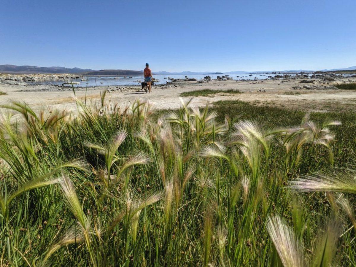 Google Pixel 5 ve Pixel 4a 5G Fotoğraf Örnekleri 8 Google Pixel 5 ve Pixel 4a 5G’nin Etkileyici Kamera Performansını Gösteren Fotoğraf Örnekleri