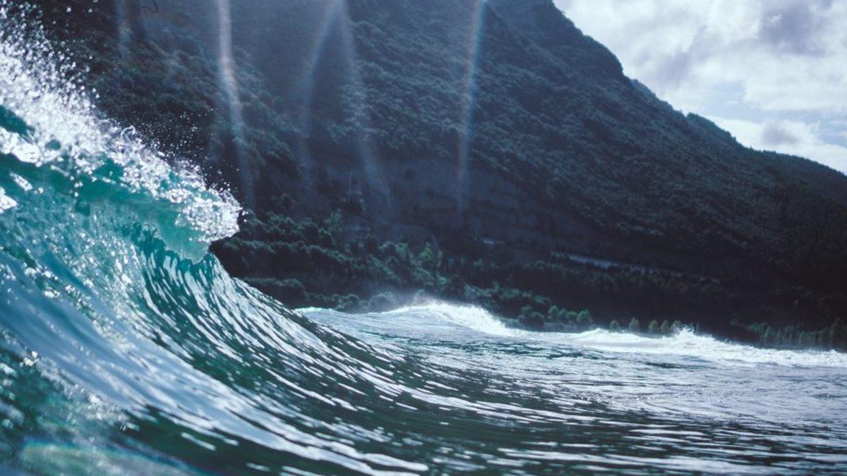 Küçük Deyip Geçmeyin: Okyanuslardaki Planktonların ’Dağların Oluşmasına’ Katkı Sağladığı Ortaya Çıktı