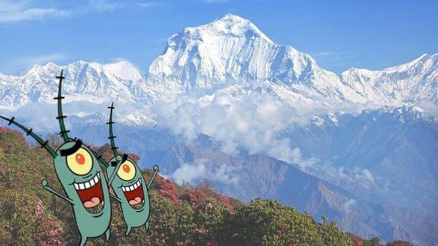 Küçük Deyip Geçmeyin: Okyanuslardaki Planktonların ’Dağların Oluşmasına’ Katkı Sağladığı Ortaya Çıktı