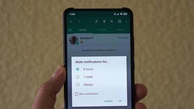 WhatsApp, Sohbeti Sonsuza Kadar Sessize Al Özelliğini Tüm Kullanıcılara Yayınladı