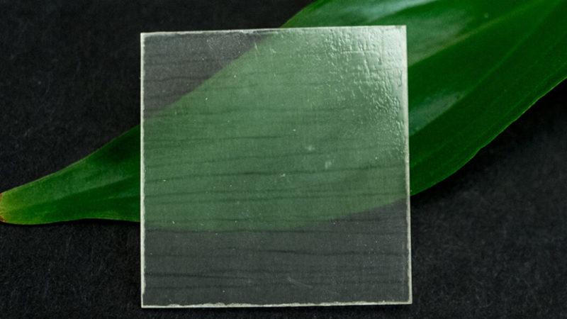 Bilim İnsanları, Gelecekte Camın Yerini Alabilecek Şeffaf Tahta Üretti