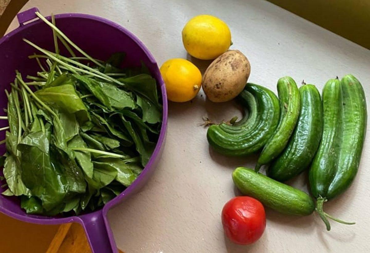 Parası Olmasına Rağmen Yıllardır Çöpten Yiyecek Toplayarak Yemek Yapan Aktiviste Acımasız Sorular Sorduk